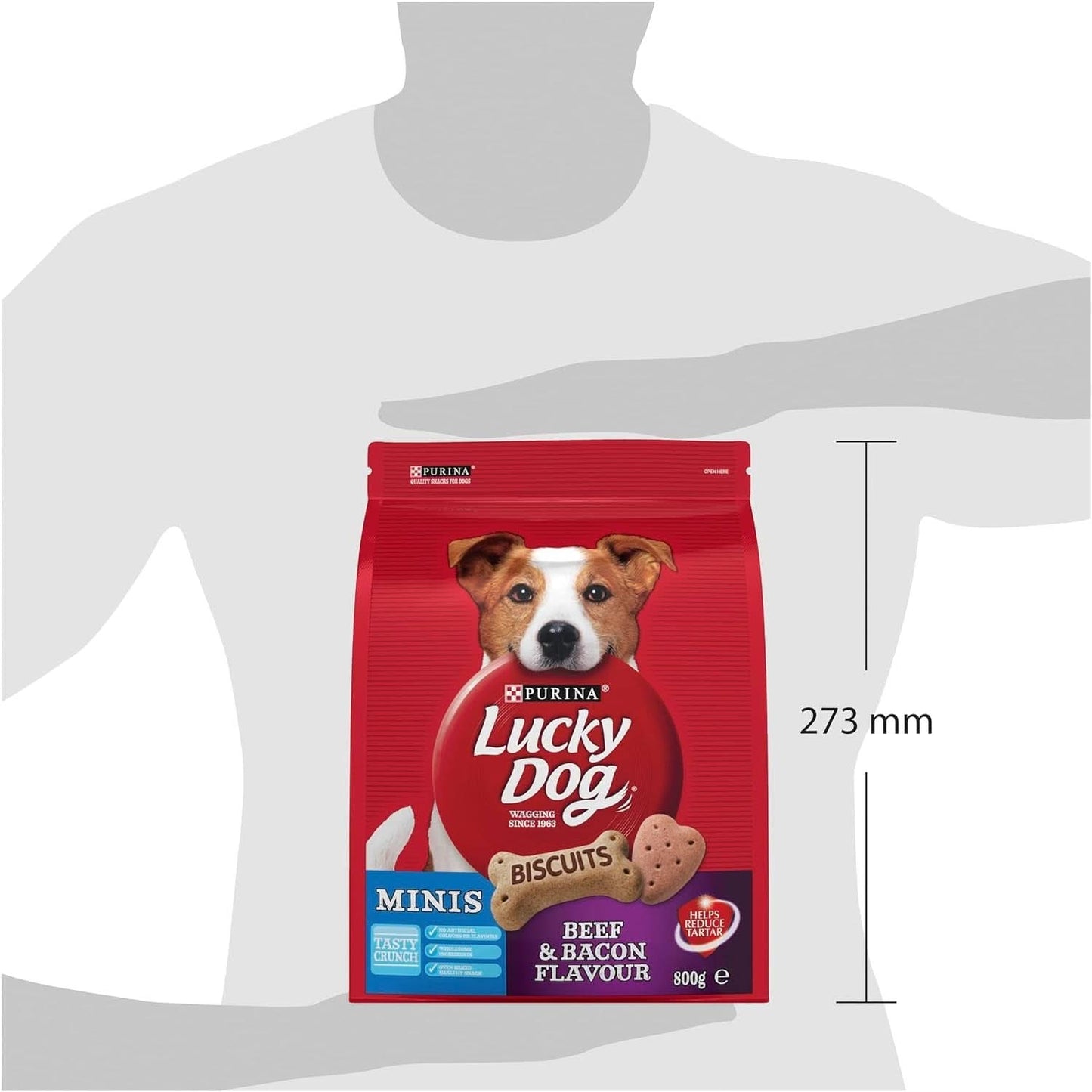 Lucky Dog Adult Bones Mini Beef and Bacon Dog Treat 800G