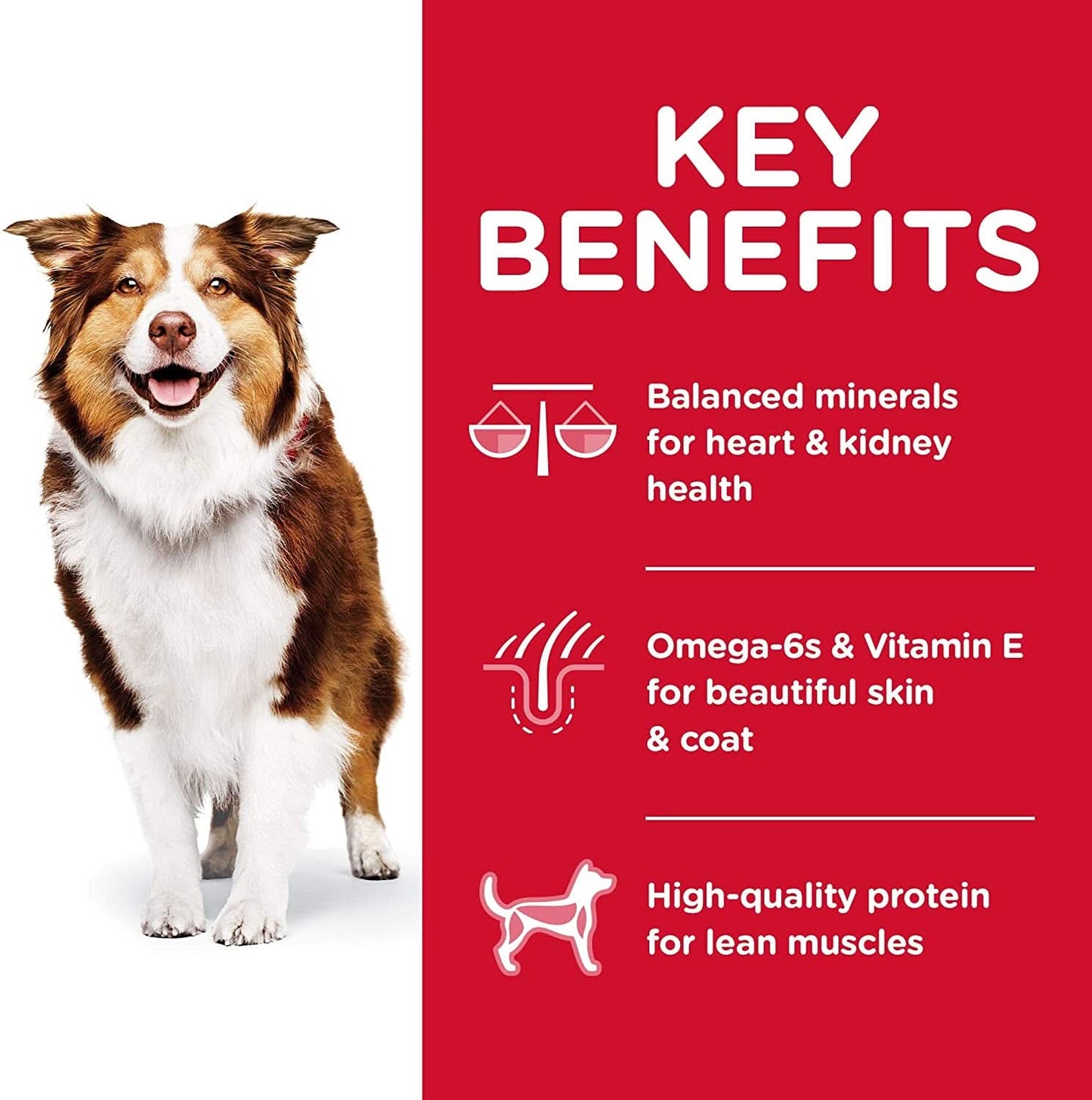 Hill's Science Adult 7+ Chicken Meal, Barley & Brown Rice Recipe Senior Dry Dog Food 12Kg Bag
