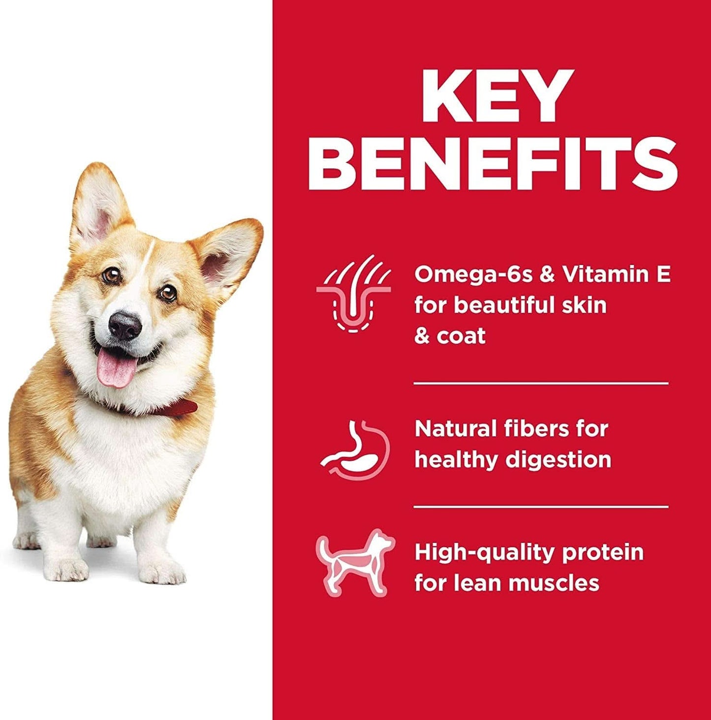 Hills Science Diet Adult Small Bites, Chicken & Barley Recipe, Dry Dog Food 6.8kg