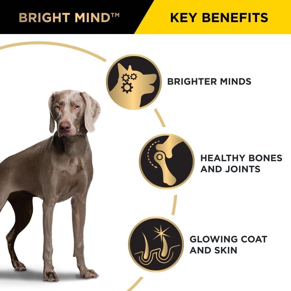 Adult 7+ Bright Mind Chicken Dry Dog Food 12Kg