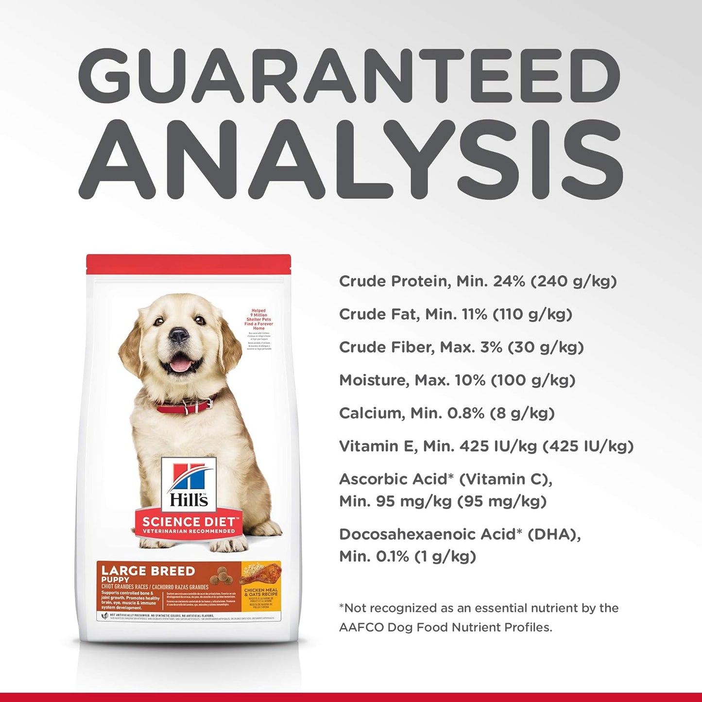 Puppy Large Breed Dry Dog Food 12Kg