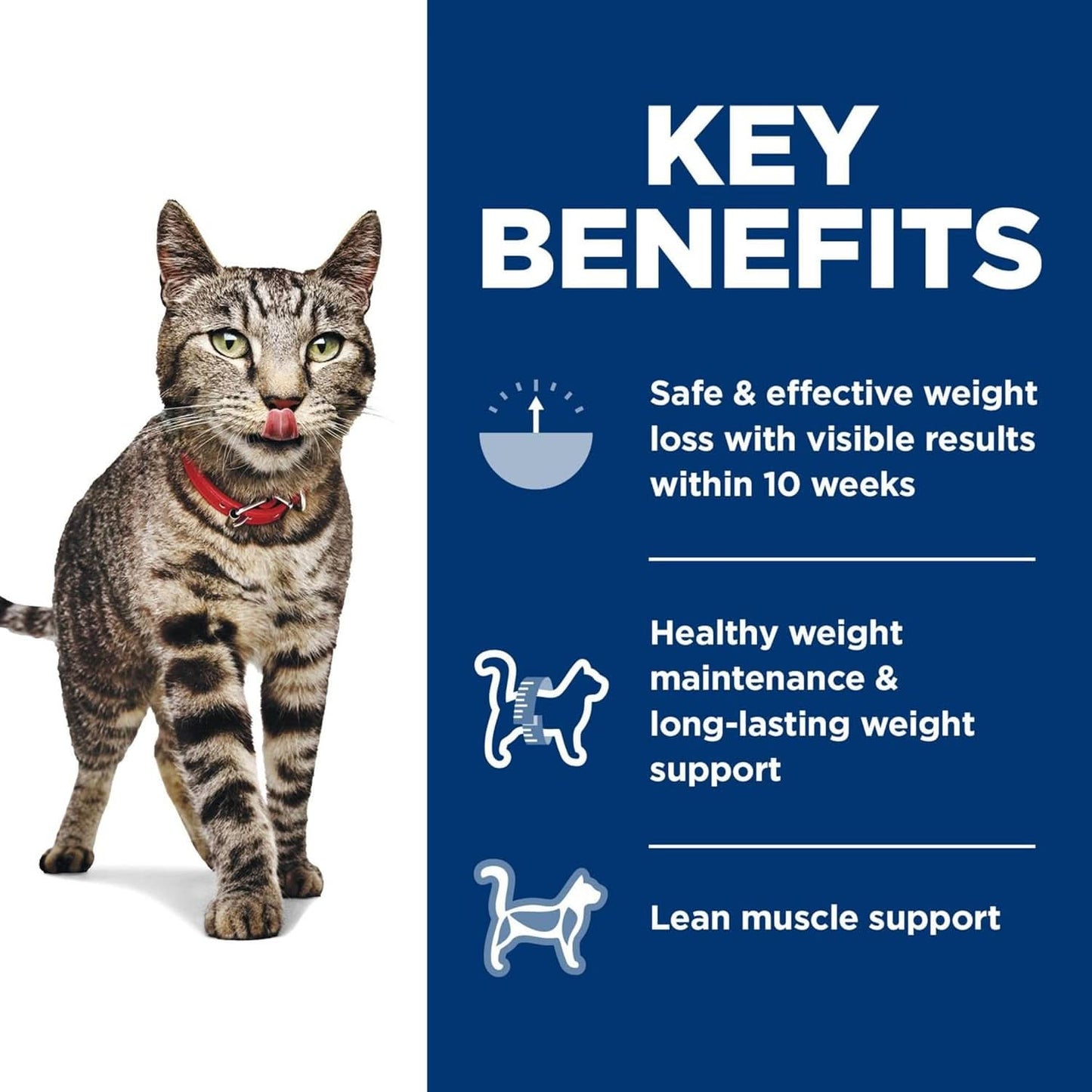 Hill's Science Diet Perfect Weight Adult, Chicken Recipe, Dry Cat Food for Healthy Weight & Weight Management, 3.17Kg Bag