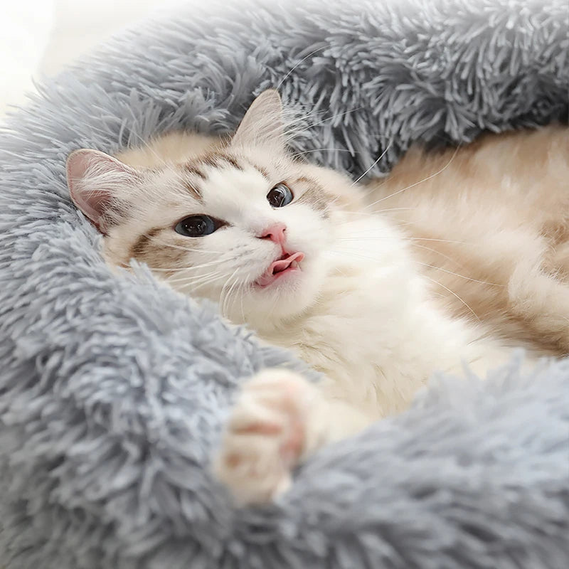 Calming Donut Pet Beds