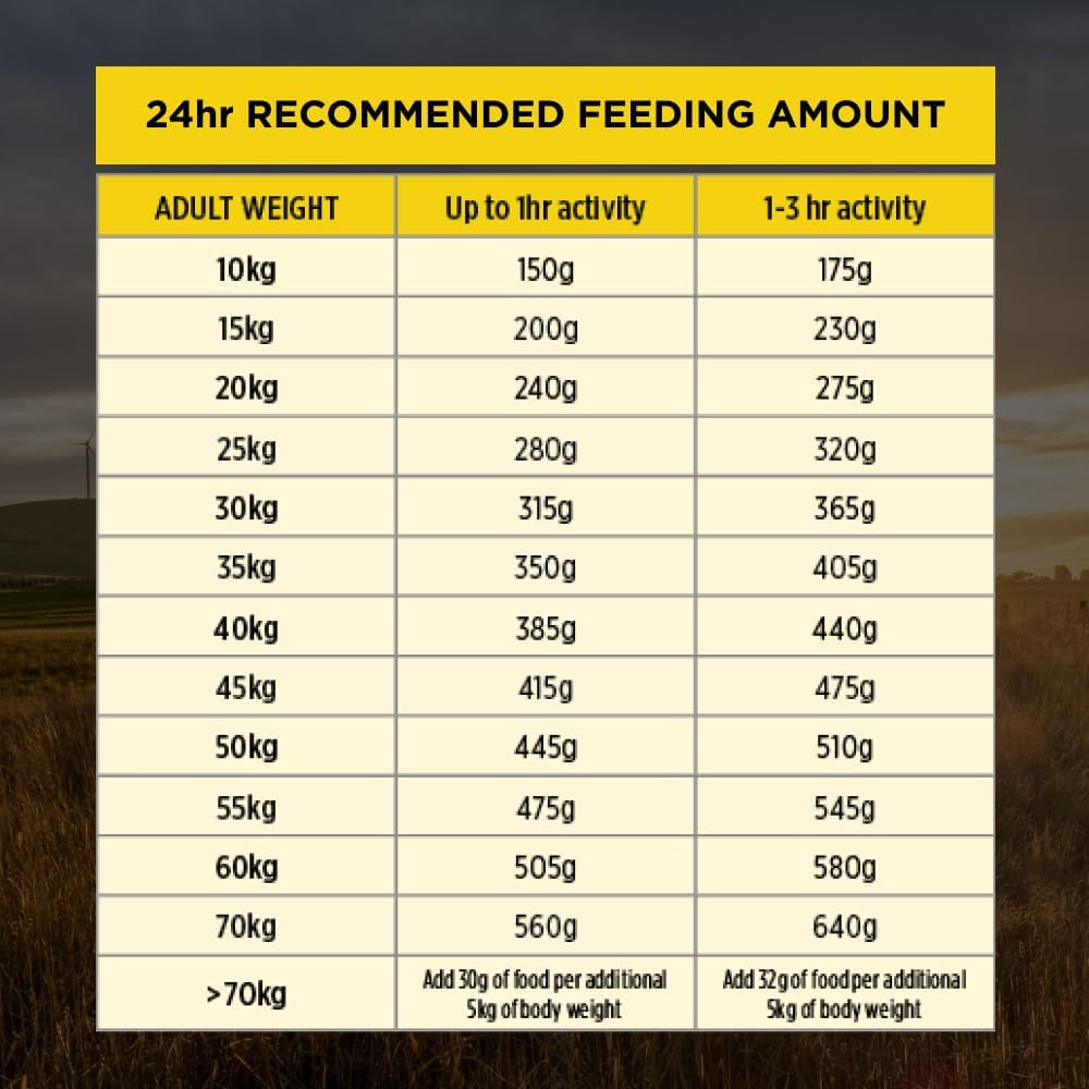 Adult 7+ Bright Mind Chicken Dry Dog Food 12Kg