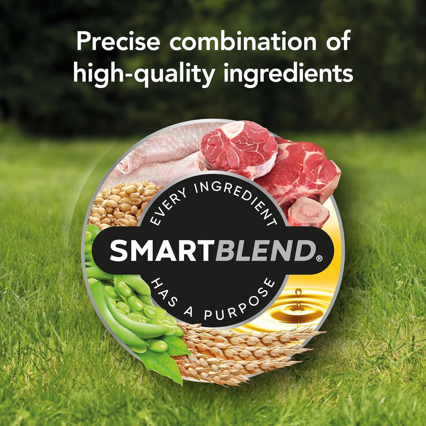 SUPERCOAT SMARTBLEND Adult Dry Dog Food Beef 18Kg