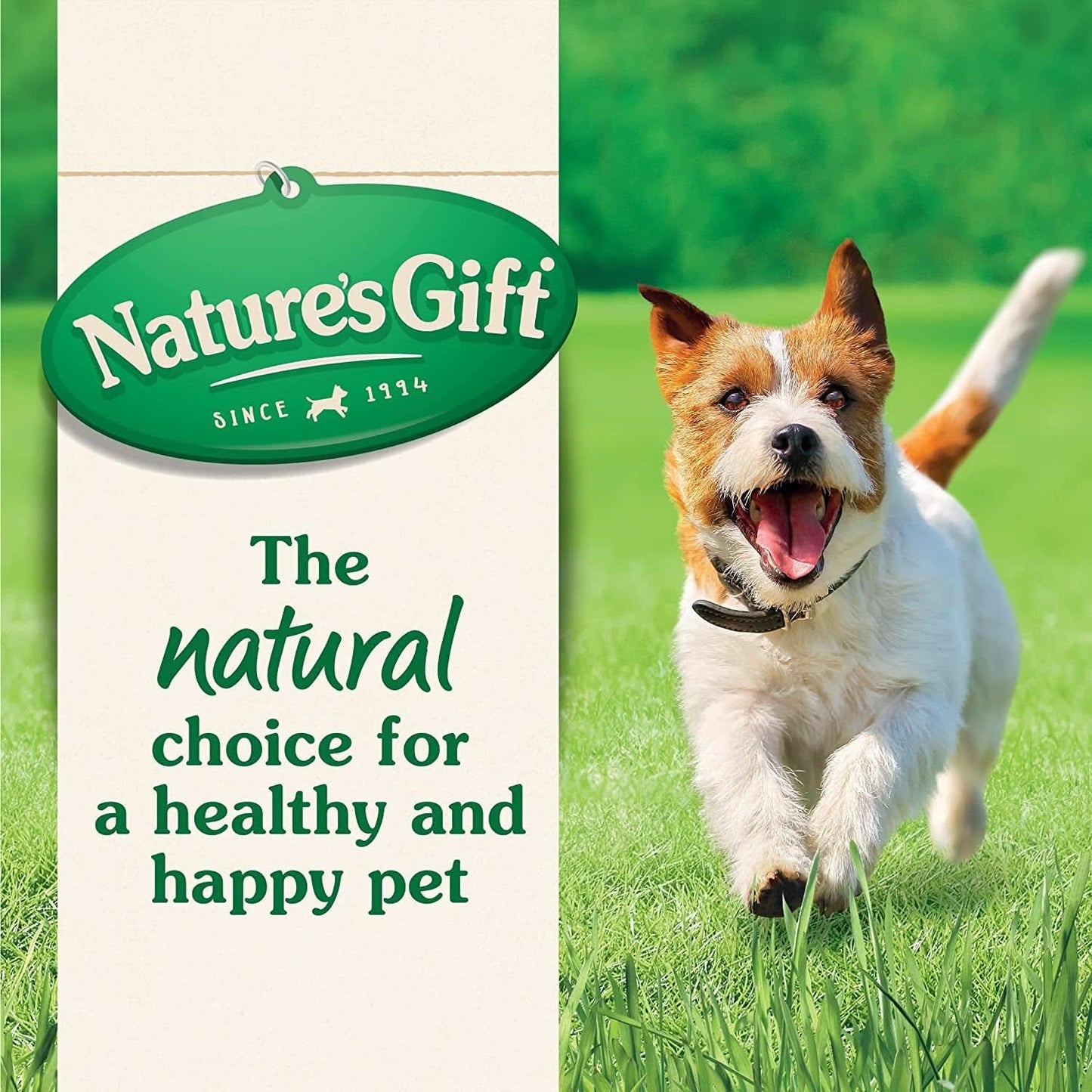 Nature's Gift Loaf Chicken, Rice and Vegetables Adult Wet Dog Food 700g x Pack of 12