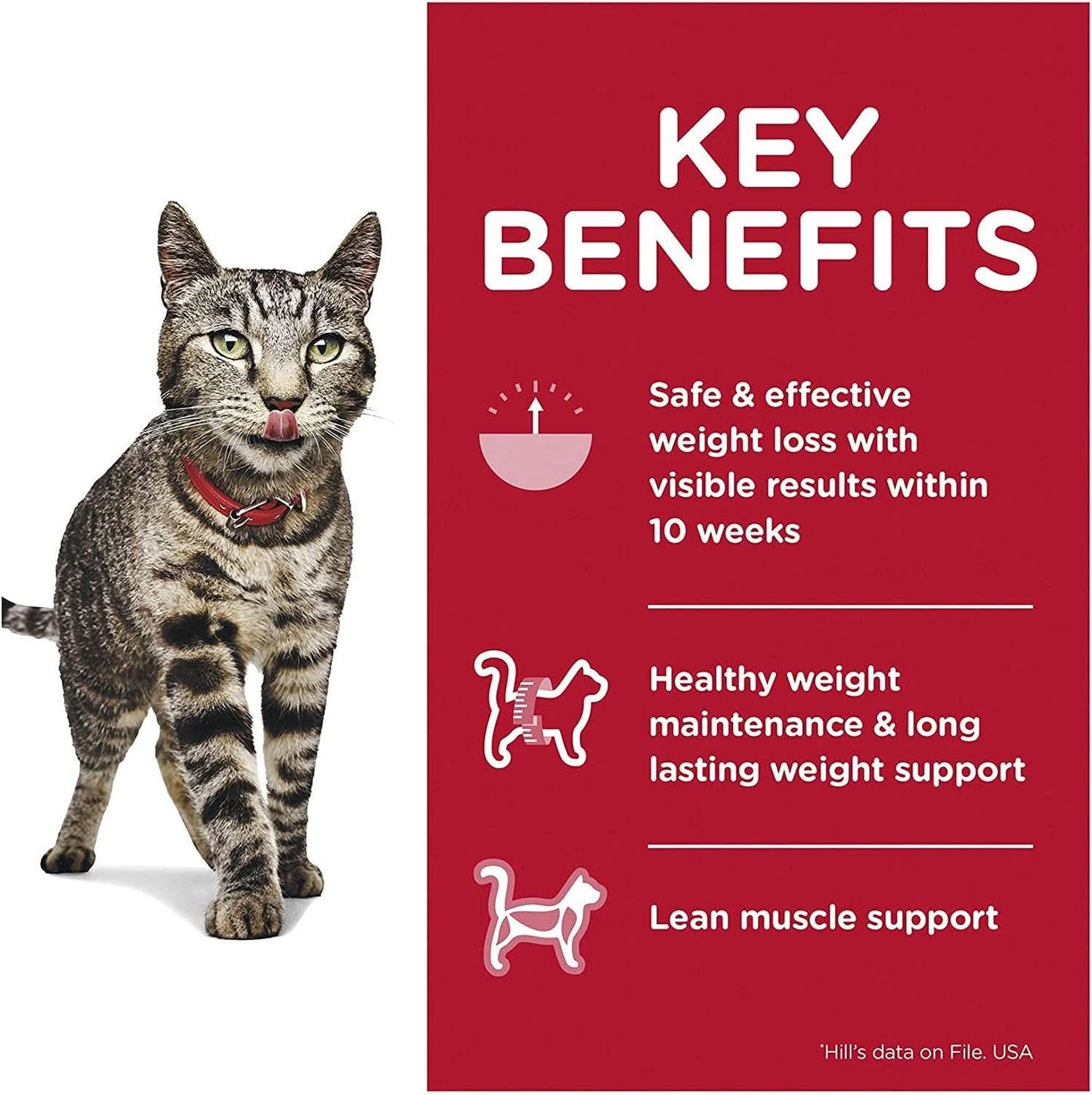 Hills Science Diet Adult Wet Cat Food, Perfect Weight Chicken 85g x Pack of 12