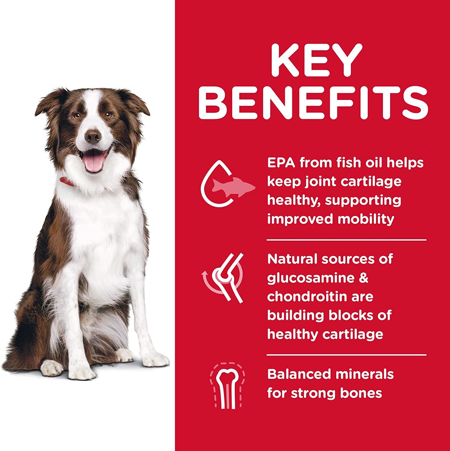 Adult Healthy Mobility Large Breed Dry Dog Food 12Kg