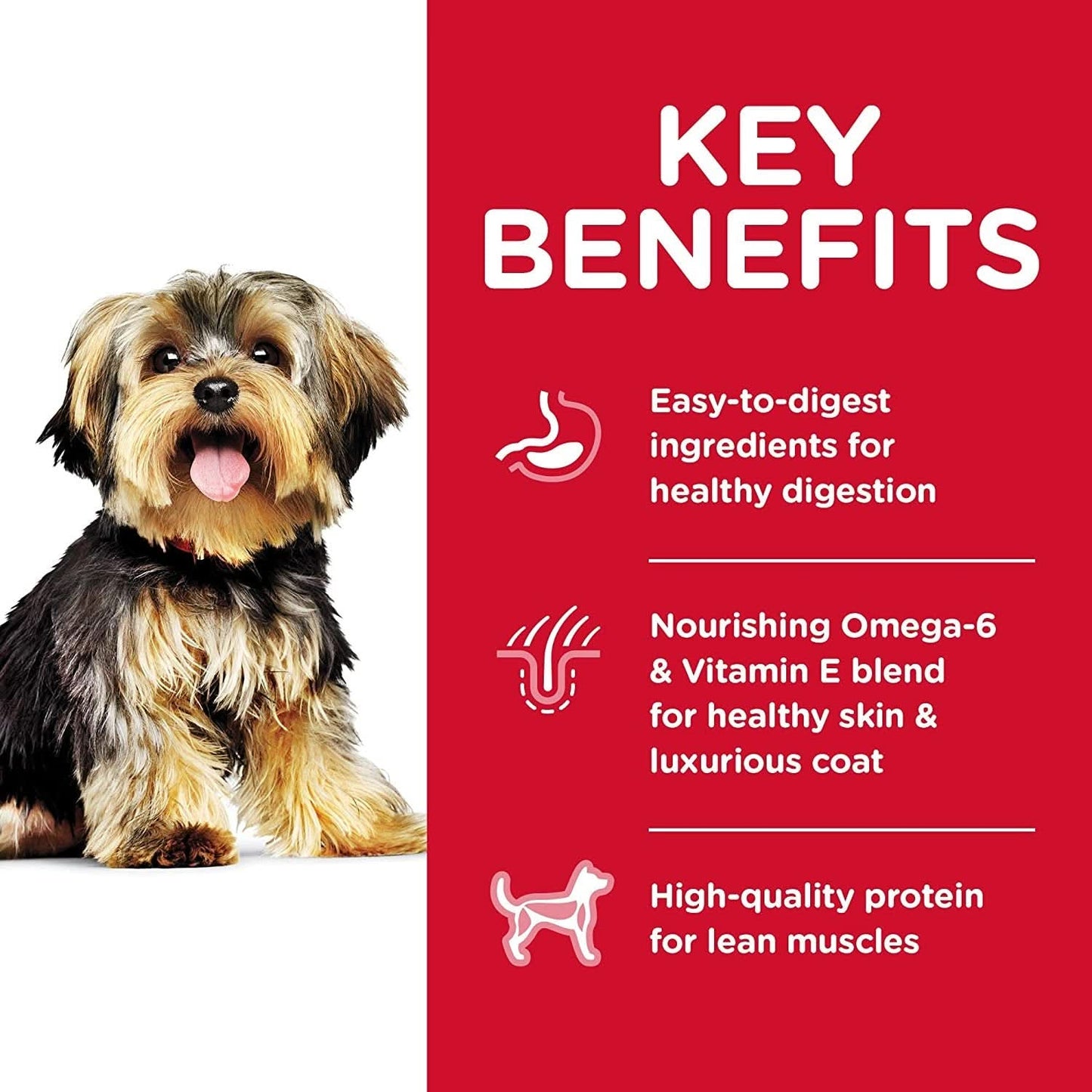 Hills Adult Small Paws Chicken Meal and Rice Recipe Dog Food 1.5kg
