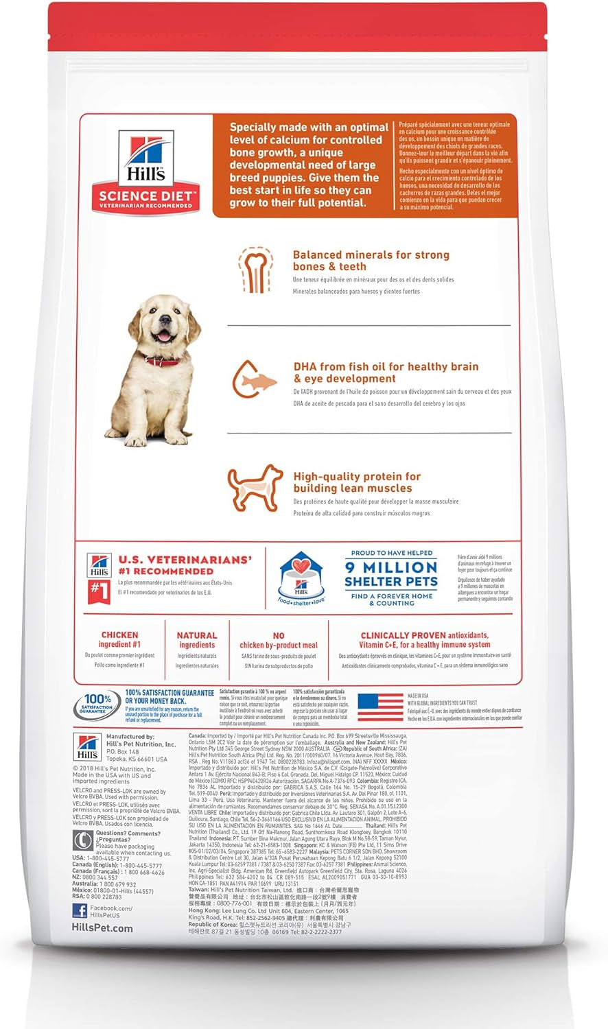 Puppy Large Breed Dry Dog Food 12Kg