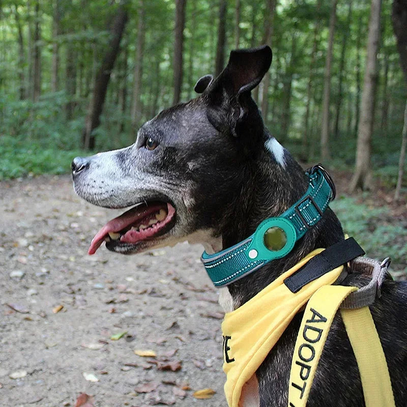 Pet GPS Tracker