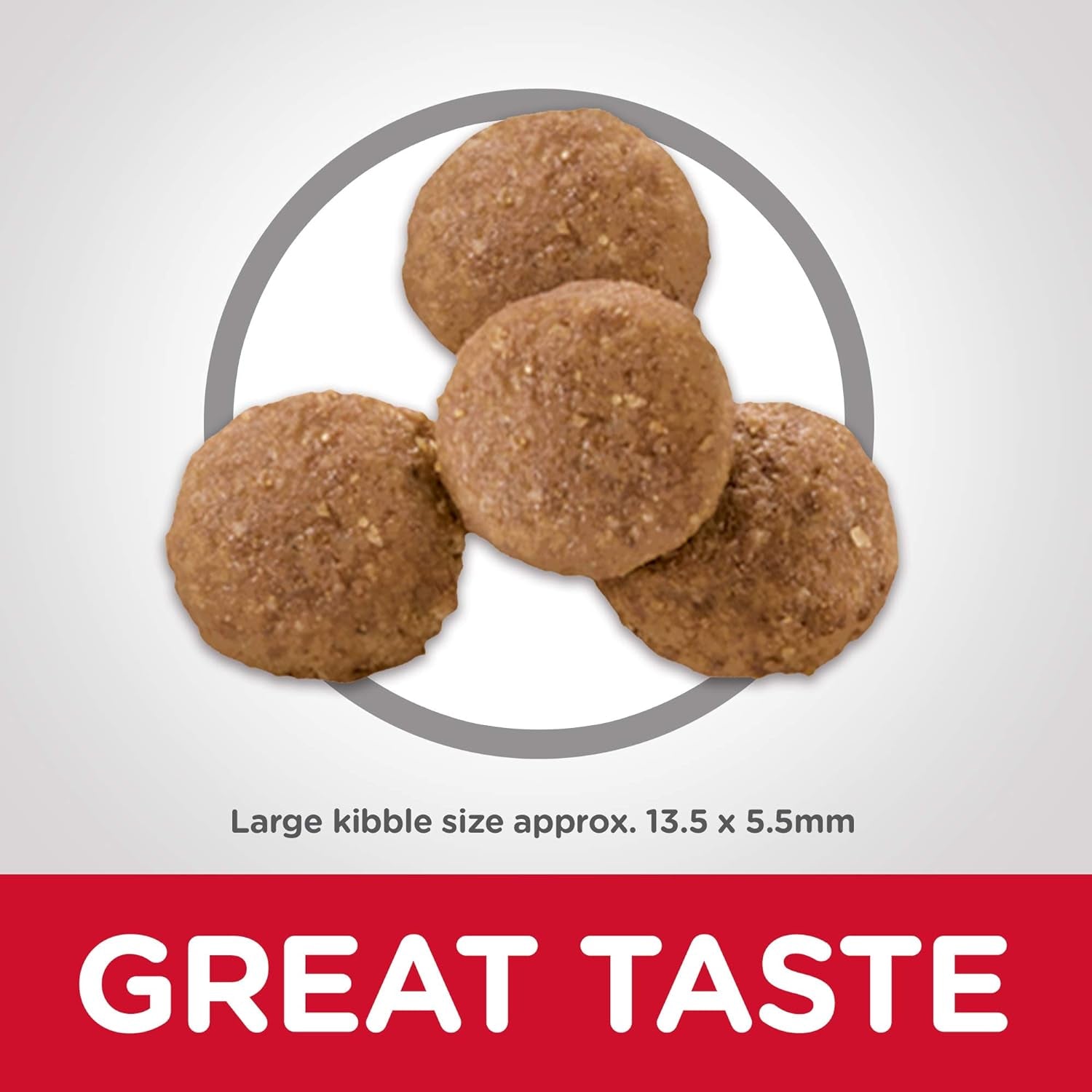 Puppy Large Breed Dry Dog Food 12Kg