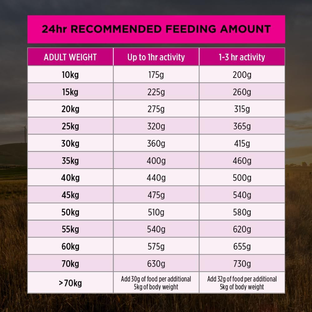 PRO Plan Adult Dry Dog Food Medium and Large Breeds Salmon and Mackerel 12Kg