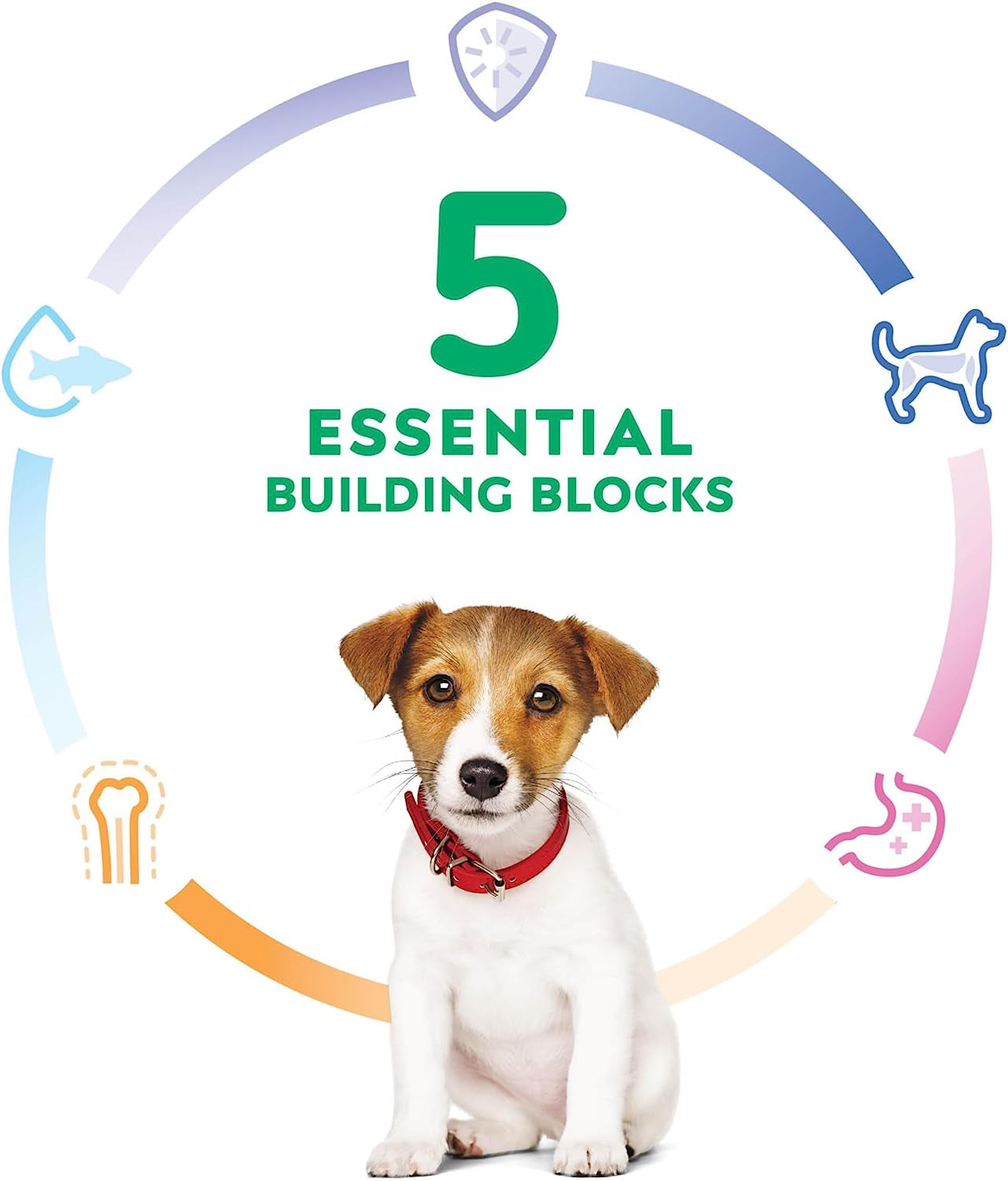 Puppy Small Bites, Chicken Meal & Barley Recipe, Dry Dog Food with Small Kibble, 2Kg Bag