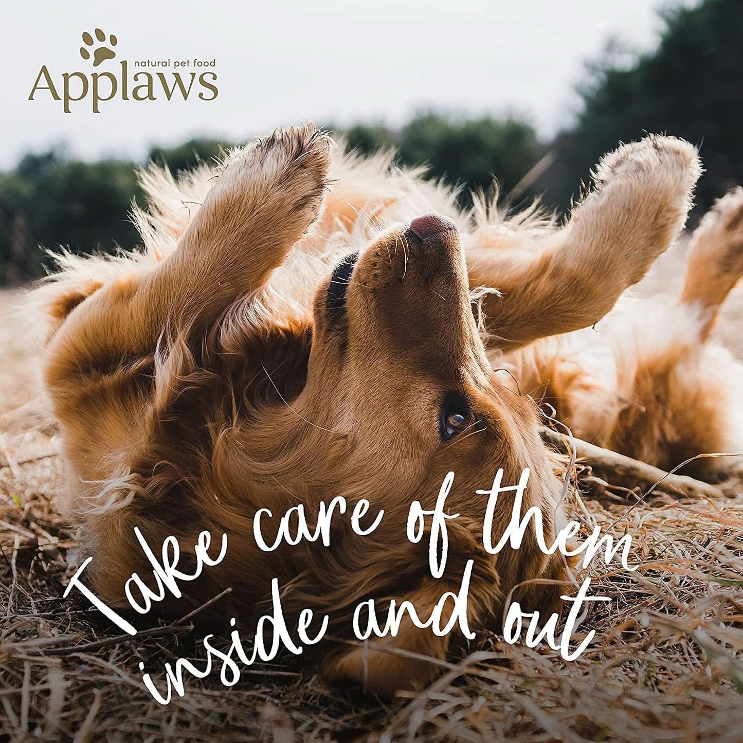 Applaws Pack of 4 Grain-Free Chicken & Turkey Dry Dog Food - with Cranberry and Sweet Potato, for All Breeds and All Life Stages 2.7kg