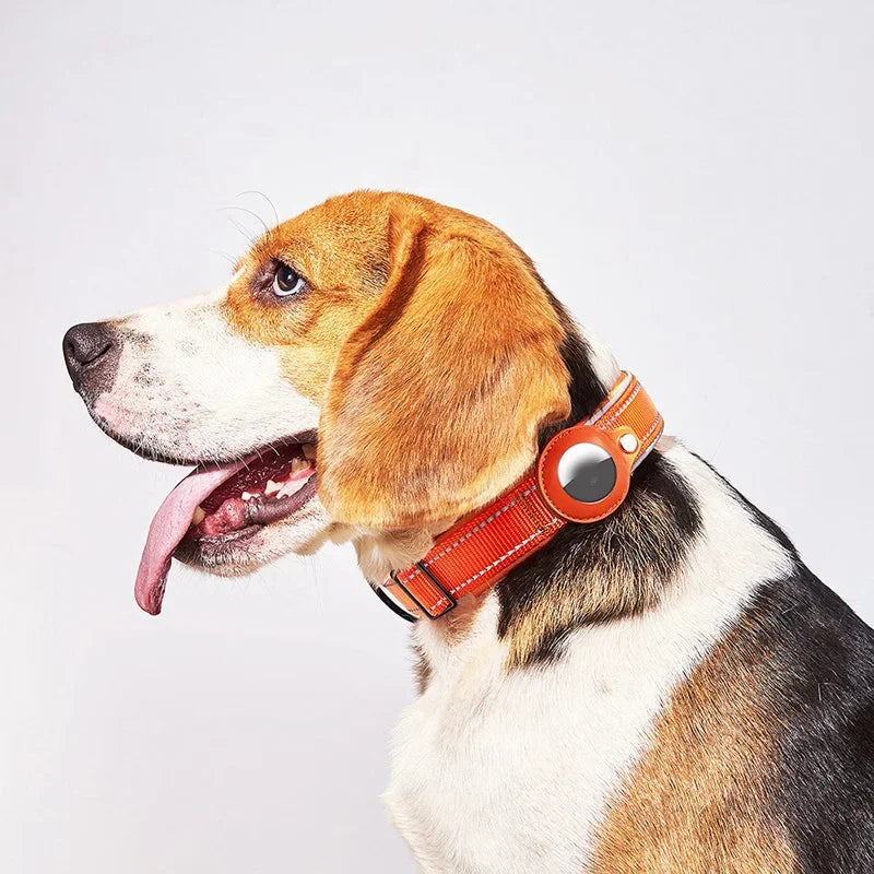 Anti-lost Reflective Adjustable Pet Collar for Apple Airtag
