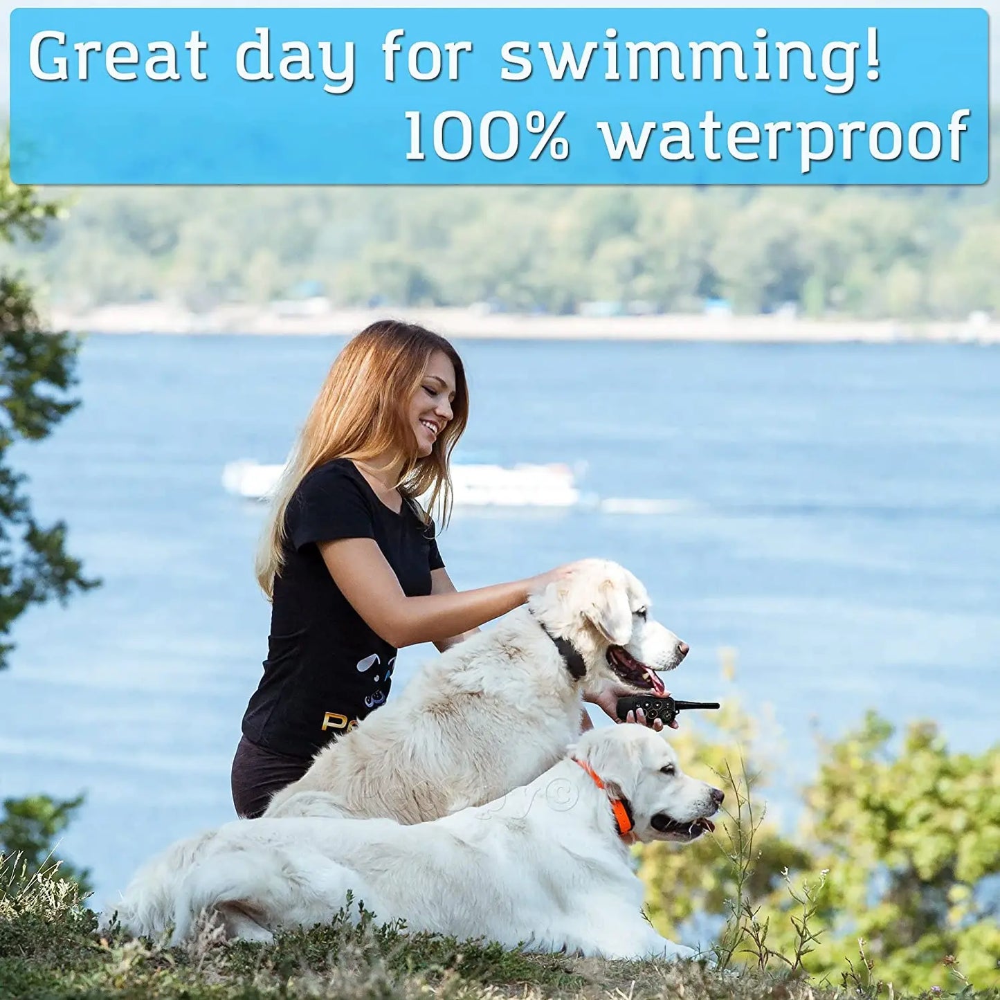 1000m Electric Dog Training Collar Remote Control Waterproof training dogs collars For All Size Shock Vibration Sound