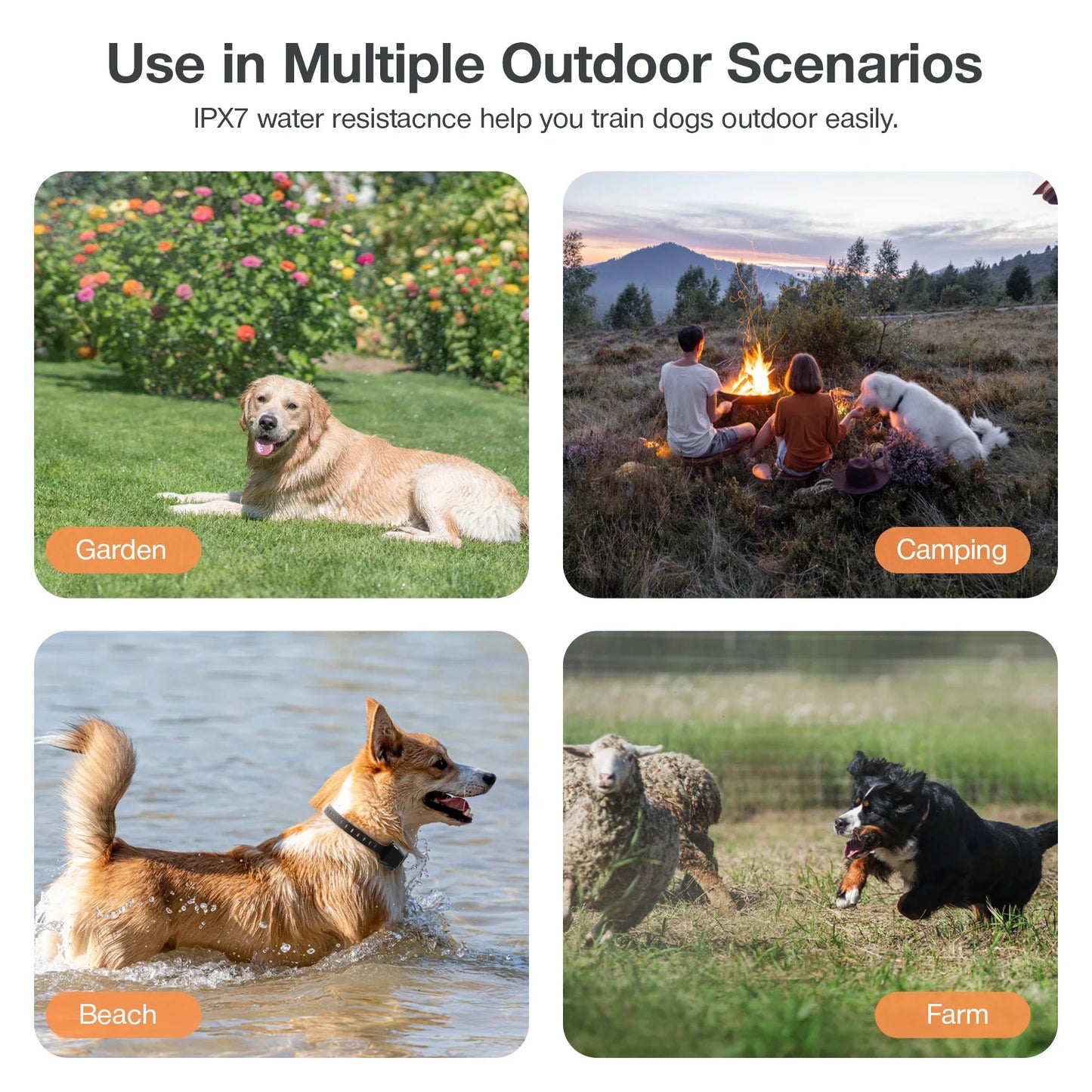 Wireless GPS Dog Boundary Fence