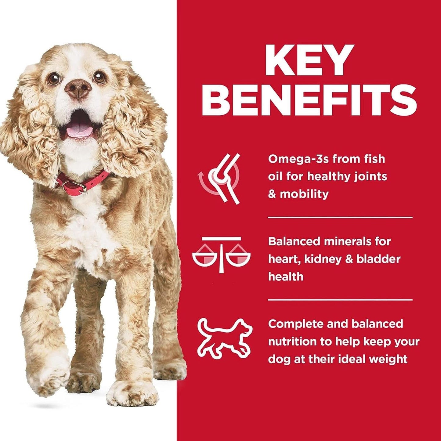 Hills Science Diet Senior Adult 11+ Small Paws, Chicken Meal, Barley and Brown Rice Recipe, Dry Dog Food for Older Small and Toy Breed Dogs 2.04kg